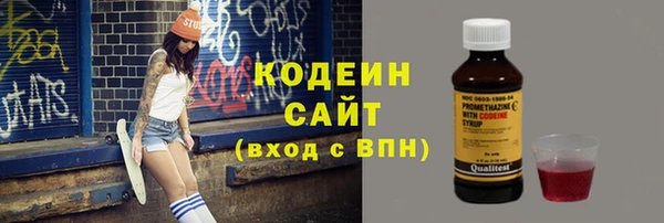 индика Балахна