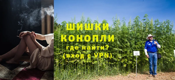 индика Балахна