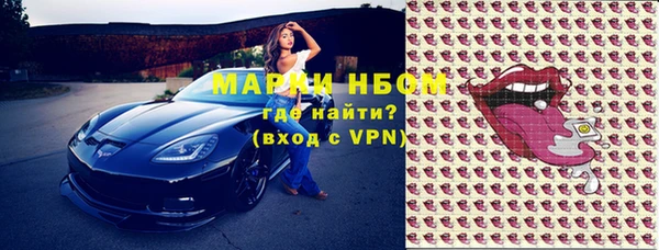 индика Балахна