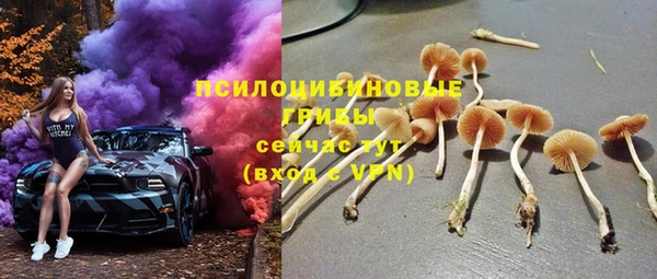 индика Балахна