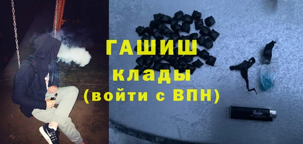 индика Балахна