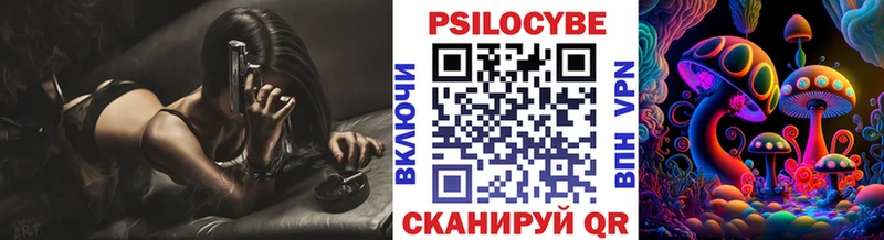 продажа наркотиков  Высоковск  hydra маркетплейс  Галлюциногенные грибы MAGIC MUSHROOMS 